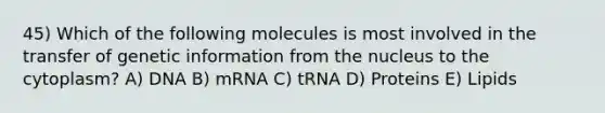 45) Which of the following molecules is most involved in the transfer of genetic information from the nucleus to the cytoplasm? A) DNA B) mRNA C) tRNA D) Proteins E) Lipids