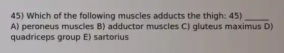 45) Which of the following muscles adducts the thigh: 45) ______ A) peroneus muscles B) adductor muscles C) gluteus maximus D) quadriceps group E) sartorius