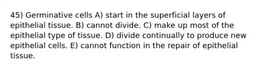 45) Germinative cells A) start in the superficial layers of epithelial tissue. B) cannot divide. C) make up most of the epithelial type of tissue. D) divide continually to produce new epithelial cells. E) cannot function in the repair of epithelial tissue.