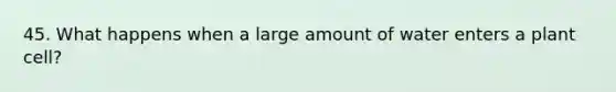 45. What happens when a large amount of water enters a plant cell?