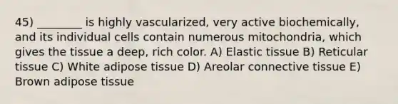 45) ________ is highly vascularized, very active biochemically, and its individual cells contain numerous mitochondria, which gives the tissue a deep, rich color. A) Elastic tissue B) Reticular tissue C) White adipose tissue D) Areolar connective tissue E) Brown adipose tissue