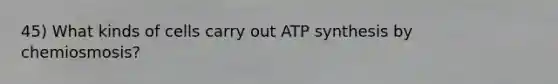 45) What kinds of cells carry out ATP synthesis by chemiosmosis?