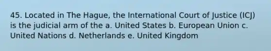 45. Located in The Hague, the International Court of Justice (ICJ) is the judicial arm of the a. United States b. European Union c. United Nations d. Netherlands e. United Kingdom