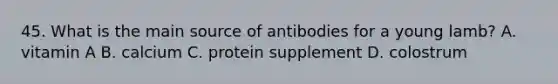 45. What is the main source of antibodies for a young lamb? A. vitamin A B. calcium C. protein supplement D. colostrum