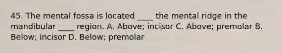 45. The mental fossa is located ____ the mental ridge in the mandibular ____ region. A. Above; incisor C. Above; premolar B. Below; incisor D. Below; premolar