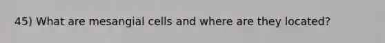 45) What are mesangial cells and where are they located?