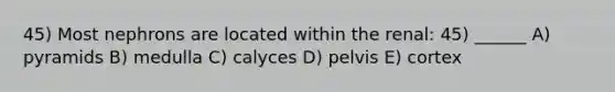 45) Most nephrons are located within the renal: 45) ______ A) pyramids B) medulla C) calyces D) pelvis E) cortex
