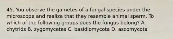 45. You observe the gametes of a fungal species under the microscope and realize that they resemble animal sperm. To which of the following groups does the fungus belong? A. chytrids B. zygomycetes C. basidiomycota D. ascomycota