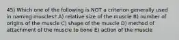 45) Which one of the following is NOT a criterion generally used in naming muscles? A) relative size of the muscle B) number of origins of the muscle C) shape of the muscle D) method of attachment of the muscle to bone E) action of the muscle