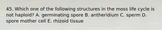 45. Which one of the following structures in the moss life cycle is not haploid? A. germinating spore B. antheridium C. sperm D. spore mother cell E. rhizoid tissue