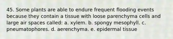 45. Some plants are able to endure frequent flooding events because they contain a tissue with loose parenchyma cells and large air spaces called: a. xylem. b. spongy mesophyll. c. pneumatophores. d. aerenchyma. e. epi<a href='https://www.questionai.com/knowledge/kRKdINDJId-dermal-tissue' class='anchor-knowledge'>dermal tissue</a>