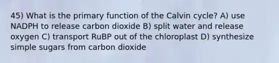 45) What is the primary function of the Calvin cycle? A) use NADPH to release carbon dioxide B) split water and release oxygen C) transport RuBP out of the chloroplast D) synthesize simple sugars from carbon dioxide