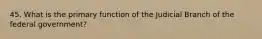 45. What is the primary function of the Judicial Branch of the federal government?