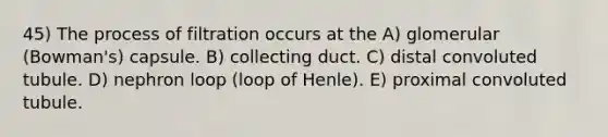 45) The process of filtration occurs at the A) glomerular (Bowman's) capsule. B) collecting duct. C) distal convoluted tubule. D) nephron loop (loop of Henle). E) proximal convoluted tubule.