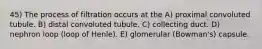 45) The process of filtration occurs at the A) proximal convoluted tubule. B) distal convoluted tubule. C) collecting duct. D) nephron loop (loop of Henle). E) glomerular (Bowman's) capsule.