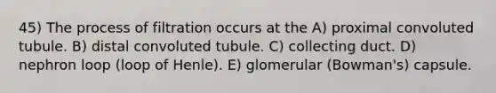 45) The process of filtration occurs at the A) proximal convoluted tubule. B) distal convoluted tubule. C) collecting duct. D) nephron loop (loop of Henle). E) glomerular (Bowman's) capsule.