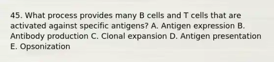 45. What process provides many B cells and T cells that are activated against specific antigens? A. Antigen expression B. Antibody production C. Clonal expansion D. Antigen presentation E. Opsonization