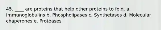 45. ____ are proteins that help other proteins to fold. a. Immunoglobulins b. Phospholipases c. Synthetases d. Molecular chaperones e. Proteases