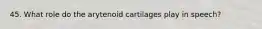 45. What role do the arytenoid cartilages play in speech?