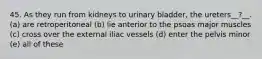 45. As they run from kidneys to urinary bladder, the ureters__?__. (a) are retroperitoneal (b) lie anterior to the psoas major muscles (c) cross over the external iliac vessels (d) enter the pelvis minor (e) all of these