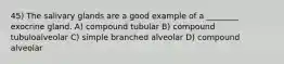 45) The salivary glands are a good example of a ________ exocrine gland. A) compound tubular B) compound tubuloalveolar C) simple branched alveolar D) compound alveolar