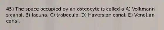 45) The space occupied by an osteocyte is called a A) Volkmann s canal. B) lacuna. C) trabecula. D) Haversian canal. E) Venetian canal.