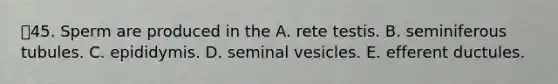 45. Sperm are produced in the A. rete testis. B. seminiferous tubules. C. epididymis. D. seminal vesicles. E. efferent ductules.