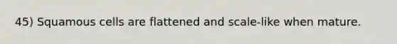 45) Squamous cells are flattened and scale-like when mature.