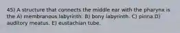 45) A structure that connects the middle ear with the pharynx is the A) membranous labyrinth. B) bony labyrinth. C) pinna.D) auditory meatus. E) eustachian tube.