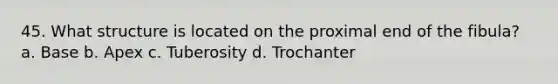 45. What structure is located on the proximal end of the fibula? a. Base b. Apex c. Tuberosity d. Trochanter