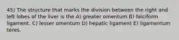 45) The structure that marks the division between the right and left lobes of the liver is the A) greater omentum B) falciform ligament. C) lesser omentum D) hepatic ligament E) ligamentum teres.