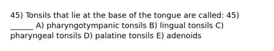 45) Tonsils that lie at the base of the tongue are called: 45) ______ A) pharyngotympanic tonsils B) lingual tonsils C) pharyngeal tonsils D) palatine tonsils E) adenoids