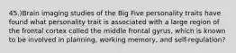 45.)Brain imaging studies of the Big Five personality traits have found what personality trait is associated with a large region of the frontal cortex called the middle frontal gyrus, which is known to be involved in planning, working memory, and self-regulation?