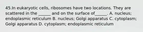 45.In eukaryotic cells, ribosomes have two locations. They are scattered in the ______ and on the surface of______. A. nucleus; endoplasmic reticulum B. nucleus; Golgi apparatus C. cytoplasm; Golgi apparatus D. cytoplasm; endoplasmic reticulum