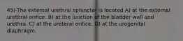 45)-The external urethral sphincter is located A) at the external urethral orifice. B) at the junction of the bladder wall and urethra. C) at the ureteral orifice. D) at the urogenital diaphragm.