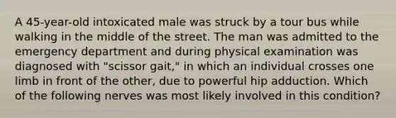 A 45-year-old intoxicated male was struck by a tour bus while walking in the middle of the street. The man was admitted to the emergency department and during physical examination was diagnosed with "scissor gait," in which an individual crosses one limb in front of the other, due to powerful hip adduction. Which of the following nerves was most likely involved in this condition?