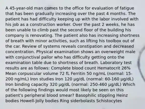 A 45-year-old man comes to the office for evaluation of fatigue that has been gradually increasing over the past 4 months. The patient has had difficulty keeping up with the labor involved with his job as a construction worker. Over the past 2 weeks, he has been unable to climb past the second floor of the building his company is renovating. The patient also has increasing shortness of breath with minor activities, such as lifting his toolbox out of the car. Review of systems reveals constipation and decreased concentration. Physical examination shows an overweight male with conjunctival pallor who has difficulty getting onto the examination table due to shortness of breath. Laboratory test results are as follows: Complete blood count Hematocrit 26% Mean corpuscular volume 72 fL Ferritin 50 ng/mL (normal: 15-200 ng/mL) Iron studies Iron 120 µg/dL (normal: 60-160 µg/dL) Iron binding capacity 320 µg/dL (normal: 250-460 µg/dL) Which of the following findings would most likely be seen on this patient's peripheral blood smear? Basophilic stippling Heinz bodies Howell-Jolly bodies Ring siderbolasts Schistocytes