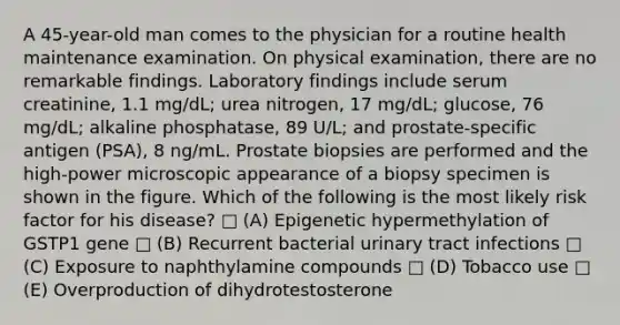 A 45-year-old man comes to the physician for a routine health maintenance examination. On physical examination, there are no remarkable findings. Laboratory findings include serum creatinine, 1.1 mg/dL; urea nitrogen, 17 mg/dL; glucose, 76 mg/dL; alkaline phosphatase, 89 U/L; and prostate-specific antigen (PSA), 8 ng/mL. Prostate biopsies are performed and the high-power microscopic appearance of a biopsy specimen is shown in the figure. Which of the following is the most likely risk factor for his disease? □ (A) Epigenetic hypermethylation of GSTP1 gene □ (B) Recurrent bacterial urinary tract infections □ (C) Exposure to naphthylamine compounds □ (D) Tobacco use □ (E) Overproduction of dihydrotestosterone