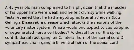 A 45-year-old man complained to his physician that the muscles of his upper limb were weak and he felt clumsy while walking. Tests revealed that he had amyotrophic lateral sclerosis (Lou Gehrig's Disease), a disease which attacks the neurons of the voluntary motor system. Where would one expect to see atrophic of degenerated nerve cell bodies? A. dorsal horn of the spinal cord B. dorsal root ganglion C. lateral horn of the spinal cord D. sympathetic chain ganglia E. ventral horn of the spinal cord