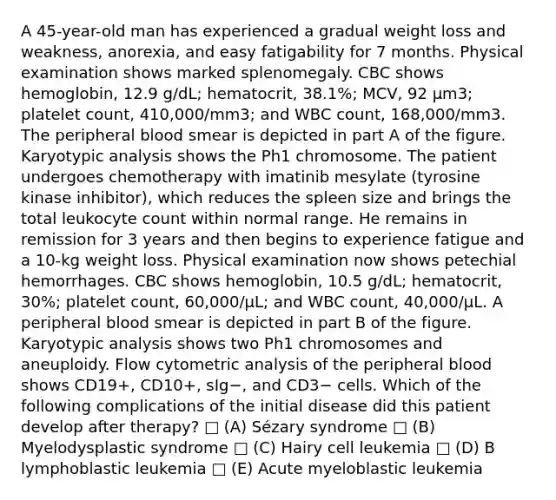 A 45-year-old man has experienced a gradual weight loss and weakness, anorexia, and easy fatigability for 7 months. Physical examination shows marked splenomegaly. CBC shows hemoglobin, 12.9 g/dL; hematocrit, 38.1%; MCV, 92 μm3; platelet count, 410,000/mm3; and WBC count, 168,000/mm3. The peripheral blood smear is depicted in part A of the figure. Karyotypic analysis shows the Ph1 chromosome. The patient undergoes chemotherapy with imatinib mesylate (tyrosine kinase inhibitor), which reduces the spleen size and brings the total leukocyte count within normal range. He remains in remission for 3 years and then begins to experience fatigue and a 10-kg weight loss. Physical examination now shows petechial hemorrhages. CBC shows hemoglobin, 10.5 g/dL; hematocrit, 30%; platelet count, 60,000/μL; and WBC count, 40,000/μL. A peripheral blood smear is depicted in part B of the figure. Karyotypic analysis shows two Ph1 chromosomes and aneuploidy. Flow cytometric analysis of the peripheral blood shows CD19+, CD10+, sIg−, and CD3− cells. Which of the following complications of the initial disease did this patient develop after therapy? □ (A) Sézary syndrome □ (B) Myelodysplastic syndrome □ (C) Hairy cell leukemia □ (D) B lymphoblastic leukemia □ (E) Acute myeloblastic leukemia