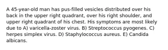 A 45-year-old man has pus-filled vesicles distributed over his back in the upper right quadrant, over his right shoulder, and upper right quadrant of his chest. His symptoms are most likely due to A) varicella-zoster virus. B) Streptococcus pyogenes. C) herpes simplex virus. D) Staphylococcus aureus. E) Candida albicans.