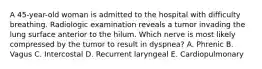 A 45-year-old woman is admitted to the hospital with difficulty breathing. Radiologic examination reveals a tumor invading the lung surface anterior to the hilum. Which nerve is most likely compressed by the tumor to result in dyspnea? A. Phrenic B. Vagus C. Intercostal D. Recurrent laryngeal E. Cardiopulmonary