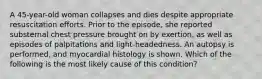 A 45-year-old woman collapses and dies despite appropriate resuscitation efforts. Prior to the episode, she reported substernal chest pressure brought on by exertion, as well as episodes of palpitations and light-headedness. An autopsy is performed, and myocardial histology is shown. Which of the following is the most likely cause of this condition?