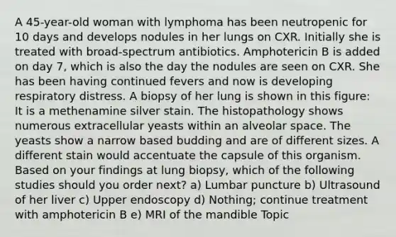 A 45-year-old woman with lymphoma has been neutropenic for 10 days and develops nodules in her lungs on CXR. Initially she is treated with broad-spectrum antibiotics. Amphotericin B is added on day 7, which is also the day the nodules are seen on CXR. She has been having continued fevers and now is developing respiratory distress. A biopsy of her lung is shown in this figure: It is a methenamine silver stain. The histopathology shows numerous extracellular yeasts within an alveolar space. The yeasts show a narrow based budding and are of different sizes. A different stain would accentuate the capsule of this organism. Based on your findings at lung biopsy, which of the following studies should you order next? a) Lumbar puncture b) Ultrasound of her liver c) Upper endoscopy d) Nothing; continue treatment with amphotericin B e) MRI of the mandible Topic