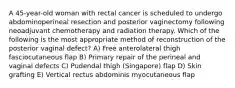 A 45-year-old woman with rectal cancer is scheduled to undergo abdominoperineal resection and posterior vaginectomy following neoadjuvant chemotherapy and radiation therapy. Which of the following is the most appropriate method of reconstruction of the posterior vaginal defect? A) Free anterolateral thigh fasciocutaneous flap B) Primary repair of the perineal and vaginal defects C) Pudendal thigh (Singapore) flap D) Skin grafting E) Vertical rectus abdominis myocutaneous flap