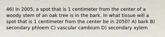 46) In 2005, a spot that is 1 centimeter from the center of a woody stem of an oak tree is in the bark. In what tissue will a spot that is 1 centimeter from the center be in 2050? A) bark B) secondary phloem C) vascular cambium D) secondary xylem