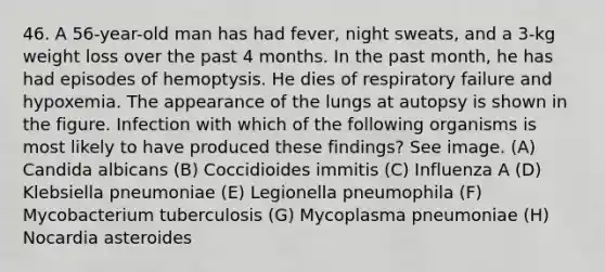 46. A 56-year-old man has had fever, night sweats, and a 3-kg weight loss over the past 4 months. In the past month, he has had episodes of hemoptysis. He dies of respiratory failure and hypoxemia. The appearance of the lungs at autopsy is shown in the figure. Infection with which of the following organisms is most likely to have produced these findings? See image. (A) Candida albicans (B) Coccidioides immitis (C) Influenza A (D) Klebsiella pneumoniae (E) Legionella pneumophila (F) Mycobacterium tuberculosis (G) Mycoplasma pneumoniae (H) Nocardia asteroides