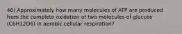 46) Approximately how many molecules of ATP are produced from the complete oxidation of two molecules of glucose (C6H12O6) in aerobic cellular respiration?