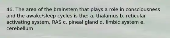 46. The area of the brainstem that plays a role in consciousness and the awake/sleep cycles is the: a. thalamus b. reticular activating system, RAS c. pineal gland d. limbic system e. cerebellum