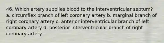 46. Which artery supplies blood to the interventricular septum? a. circumflex branch of left coronary artery b. marginal branch of right coronary artery c. anterior interventricular branch of left coronary artery d. posterior interventricular branch of right coronary artery